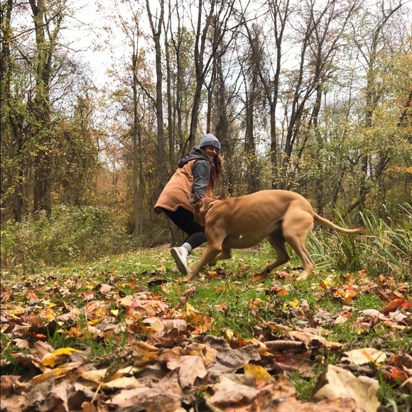 Meet your Posher, Cassidy - Picture 4 of 8